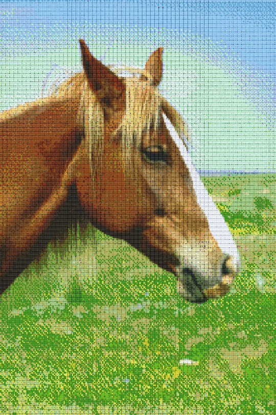 Horse Thirty [30] Baseplate PixelHobby Mini-mosaic Art Kit